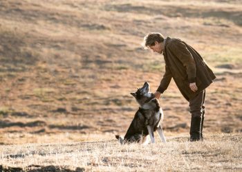 Quatro filmes com reviravoltas que deixam qualquer um em choque