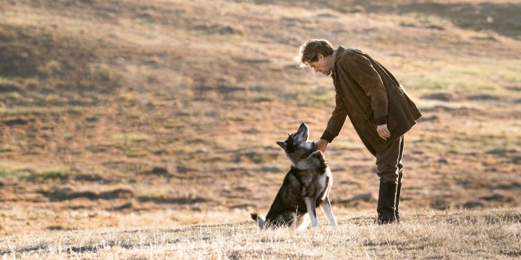 Quatro filmes com reviravoltas que deixam qualquer um em choque