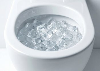 O que acontece quando você joga gelo no vaso sanitário