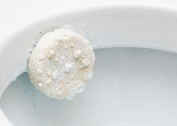 A pastilha sanitária caseira que deixou o meu vaso cheiroso por dia