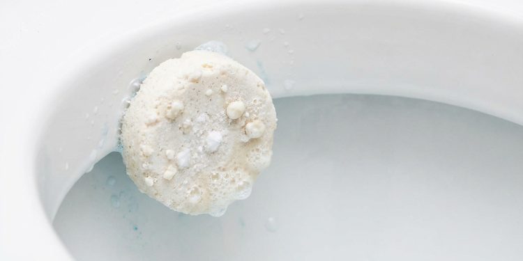 A pastilha sanitária caseira que deixou o meu vaso cheiroso por dia