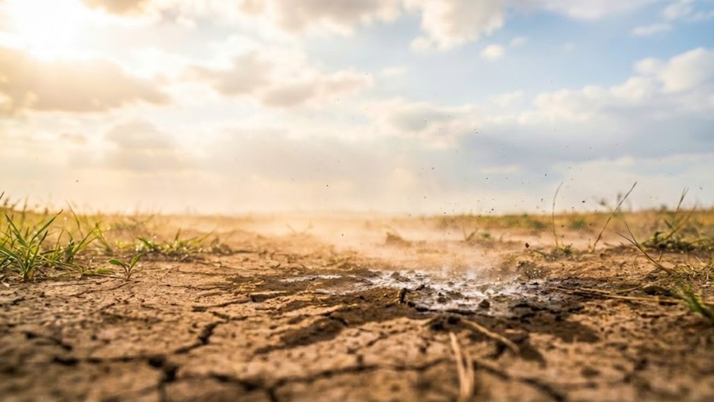 Poucos sabem: como se chama o cheiro da terra molhada pela chuva?