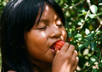 Peguei essa muda bonitona na casa da minha vó que cresceu rápido, deu bastante fruta e ainda teve seu valor medicinal