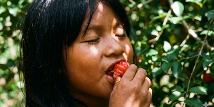 Peguei essa muda bonitona na casa da minha vó que cresceu rápido, deu bastante fruta e ainda teve seu valor medicinal