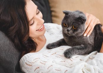 Por que os gatos amassam pãozinho? A origem curiosa desse hábito fofo