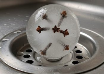 O truque do vinagre com cravos congelados em casa que quase ninguém usa