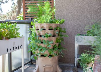 Não tem espaço? Veja como ter uma horta linda e limpa no seu apartamento