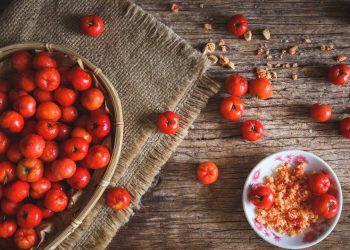 Acerola no vaso funciona? Saiba como ter frutas frescas em casa