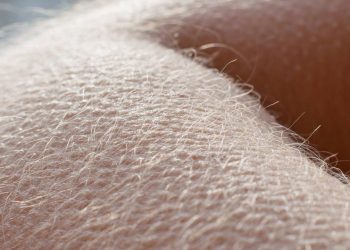 Por que o corpo reage com arrepios a perigos que só existem na imaginação?