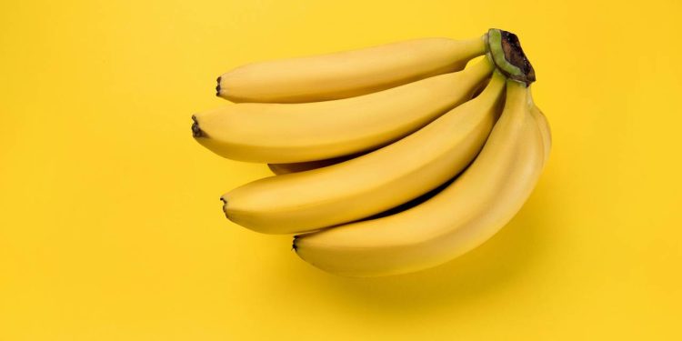 Por que a banana desafia a física e cresce apontando para o céu?