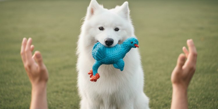 O que significa quando seu cachorro traz seu brinquedo favorito até você?
