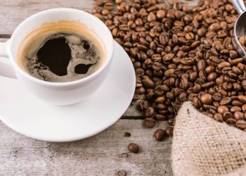 O segredo proibido do café: como uma bebida perigosa quase mudou o destino da história?