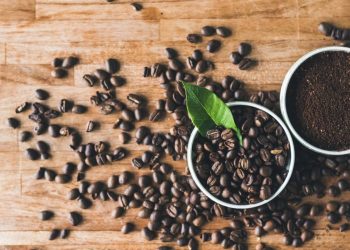 O truque caseiro com café moído que elimina maus odores da casa em segundos