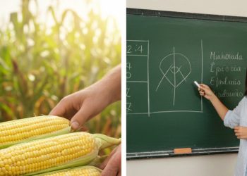 Por que o milho verde é amarelo e o quadro-negro é verde? A curiosidade linguística que todo brasileiro já usou