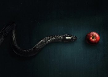 As 6 séries de terror que vão te deixar vidrado do início ao fim