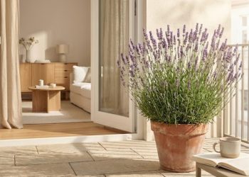 Adeus veneno: 4 plantas lindas que atraem joaninhas e limpam o jardim