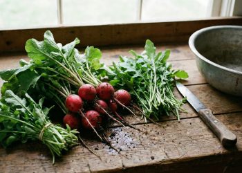 5 plantas deliciosas que brotam na sua horta igual água