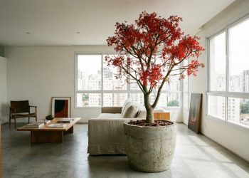Árvore de fogo: vermelha e mágica, vai transformar sua decoração sem você gastar quase nada