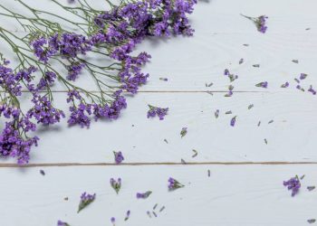 O segredo perfumado e natural que está ganhando espaço nos lares brasileiros