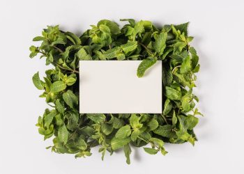 Conheça a mistura de dois ingredientes simples que promete revolucionar a limpeza doméstica