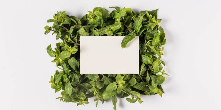Conheça a mistura de dois ingredientes simples que promete revolucionar a limpeza doméstica