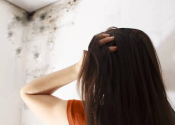 Como evitar mofo nas paredes de forma rápida e eficaz em casa