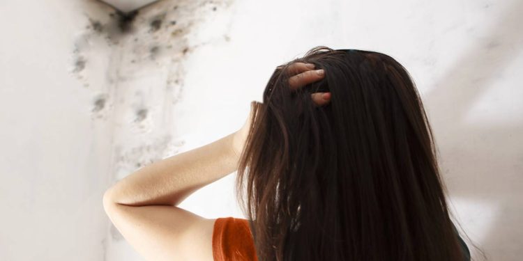 Como evitar mofo nas paredes de forma rápida e eficaz em casa