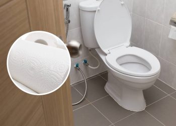 O método simples para remover o tártaro do vaso usando papel-toalha