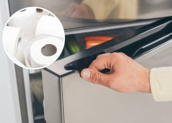 Esse truque simples pode transformar sua geladeira em poucos minutos sem gastar nada