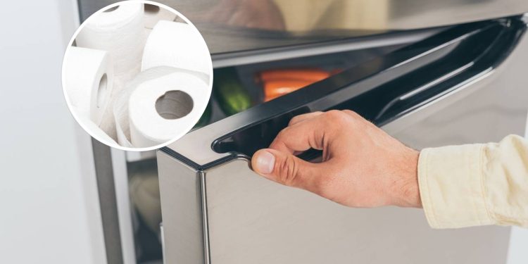 Esse truque simples pode transformar sua geladeira em poucos minutos sem gastar nada