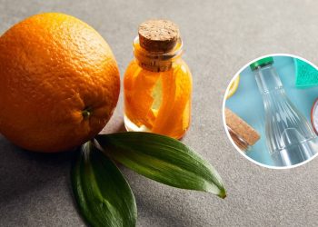 Cascas de laranja com vinagre, por que voltou a ser usada na limpeza e para que serve