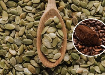 Pare de gastar com adubos caros e use essa mistura de sementes de abóbora com café