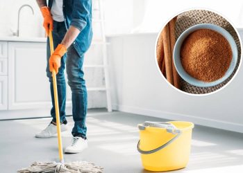 Usar canela na limpeza doméstica é simples, natural e eficaz