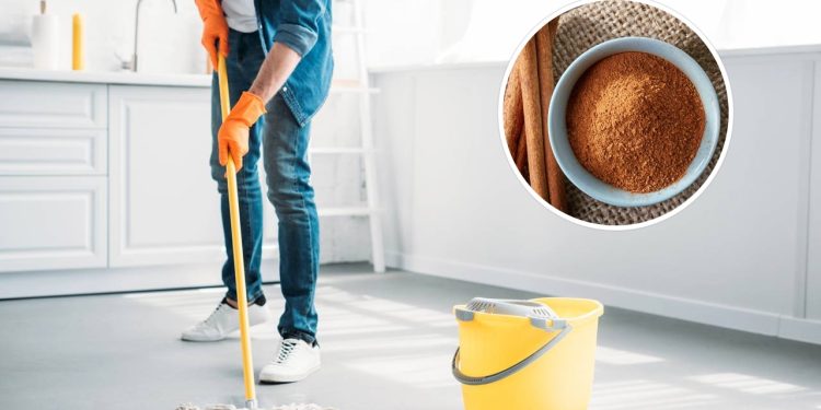 Usar canela na limpeza doméstica é simples, natural e eficaz