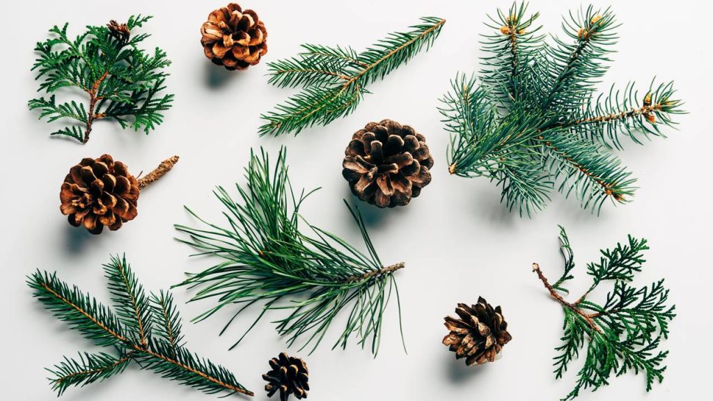 quanto custa uma decoração de Natal
