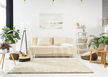 Deixe a sala linda e fresca com 3 plantas baratas fáceis de cuidar
