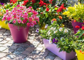 Pare de gastar com vasos: 3 itens de cozinha que viram jardins incríveis