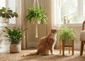 É normal falar com o gato? Entenda por que humanizamos nossos bichos