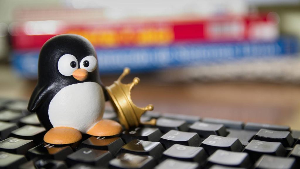 Windows ou Linux: Qual é o melhor sistema para o seu computador em 2025
