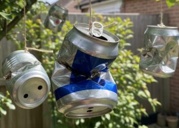 Não é apenas decoração: para que serve pendurar latas de alumínio no jardim?