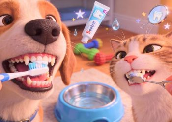 Como acabar com o mau hálito e cuidar dos dentes do pet em casa