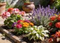 As 6 plantas que amam sol forte e garantem um jardim vibrante com pouca manutenção