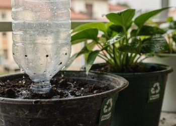 Como transformar a garrafa pet que vira um regador automático para suas plantas