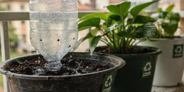 Como transformar a garrafa pet que vira um regador automático para suas plantas