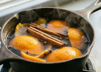 O macete que as gringas usam para deixar a cozinha sempre cheirosa