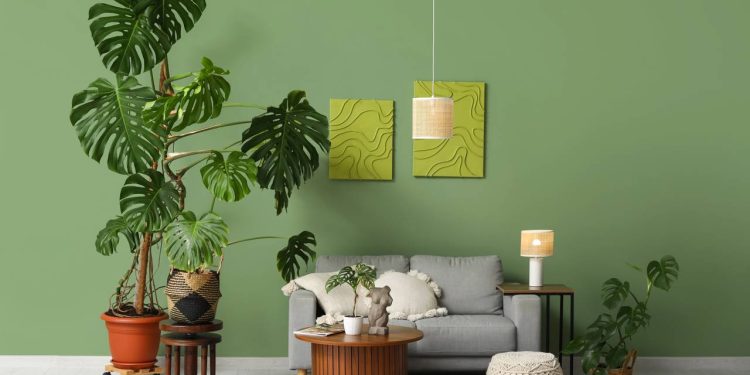 Na decoração, uma planta com folhas amareladas ou pontas secas pode passar uma impressão de descuido, por isso o manejo correto é essencial - Créditos: depositphotos.com / serezniy