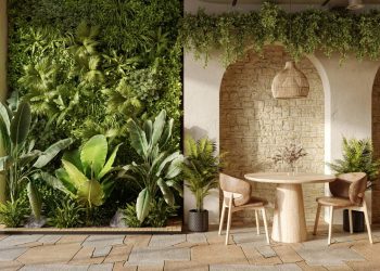 Três plantas poderosas para uma casa próspera e visualmente impecável
