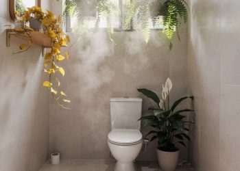 As 3 plantas que filtram o ar do banheiro e eliminam a sensação de ambiente fechado