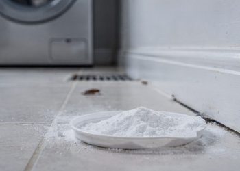 Como usar bicarbonato de sódio e açúcar para eliminar baratas de casa de forma simples e eficaz