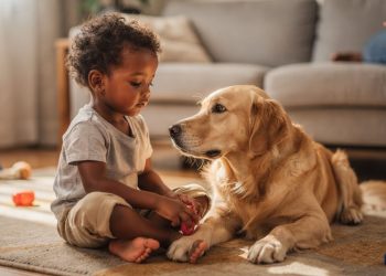 Estas 5 raças de cães mais calmas são as mais recomendadas para conviver com crianças